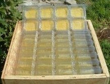 Petekli bal �retim y�ntemleri